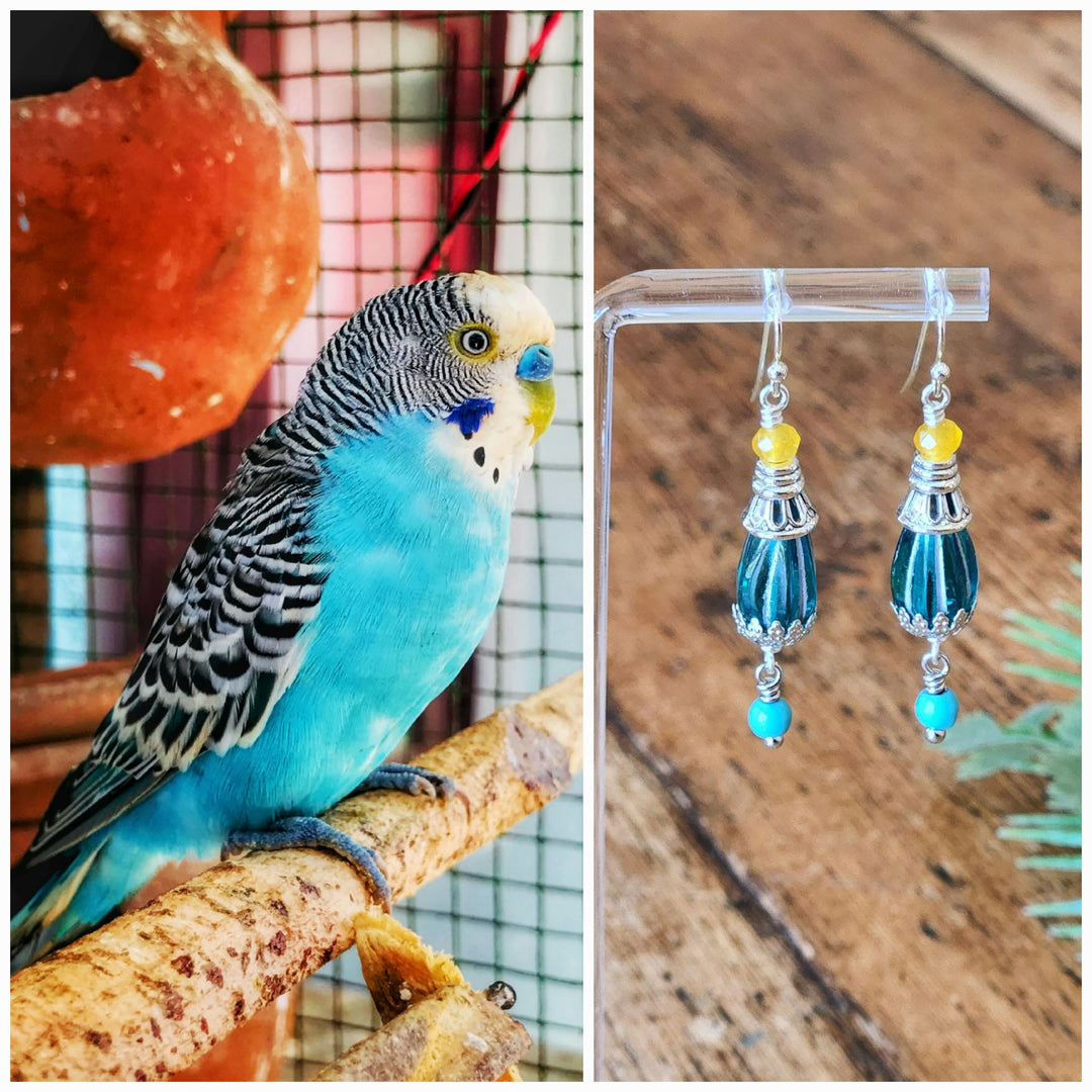 Earrings inspired by an exotic blue bird