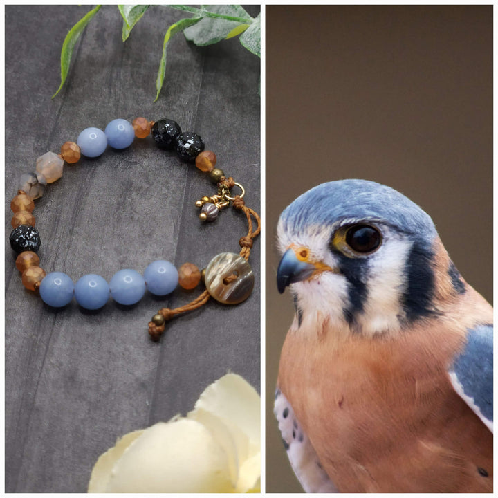 This is a collage style photo that displays the American Kestrel  Button Bracelet beside the inspiration photo.