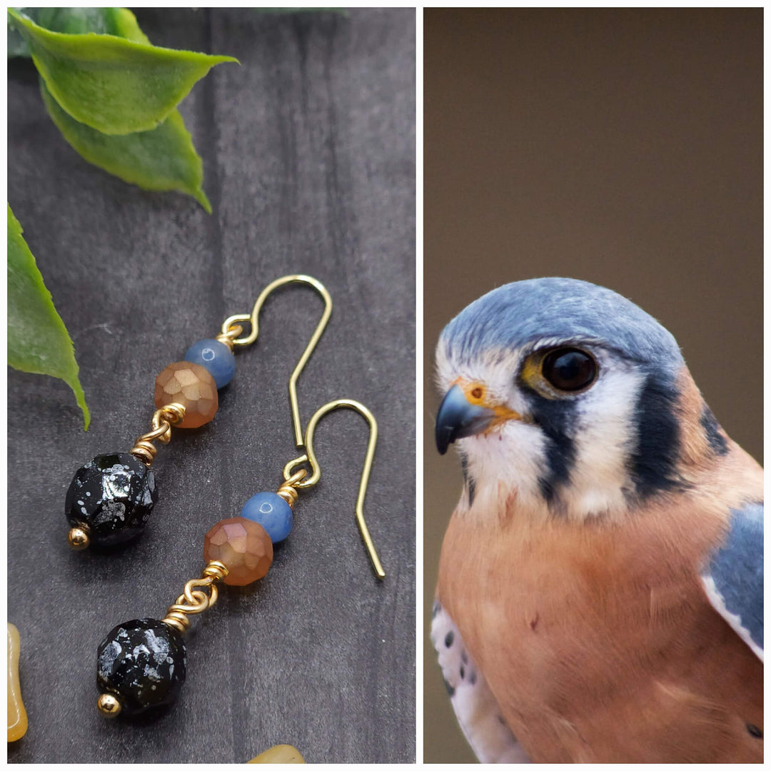              This is a collage style photo that displays the  American Kestral Earrings beside the inspiration photo of the American Kestral.