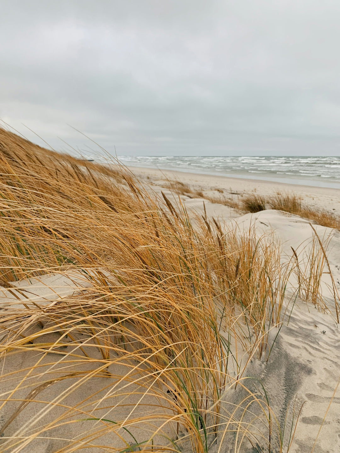 This is a photo of the Sand Dunes that inspired the earrings.