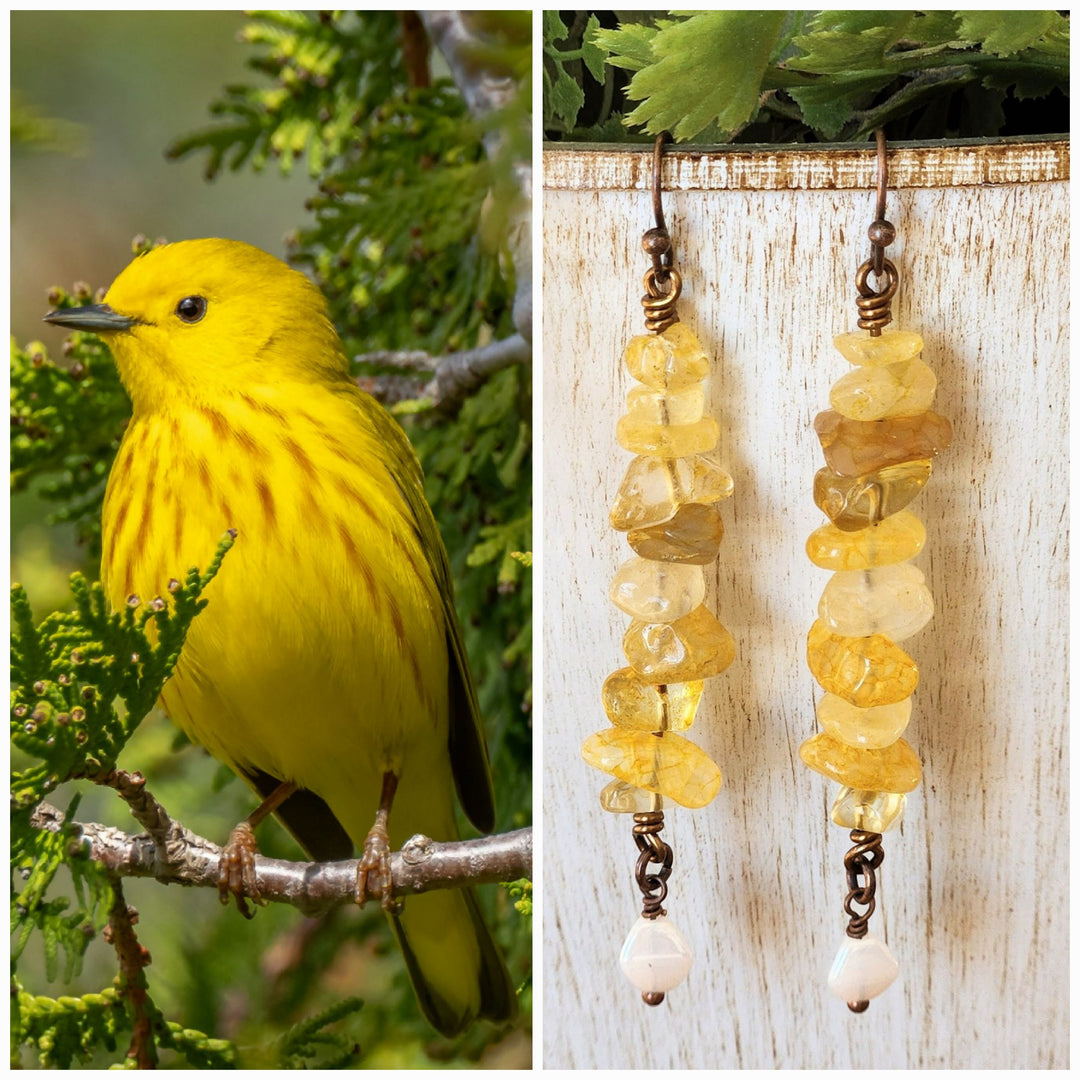 This is a collage style photo that displays the Yellow Warbler Earrings alongside the inspiration photo. 