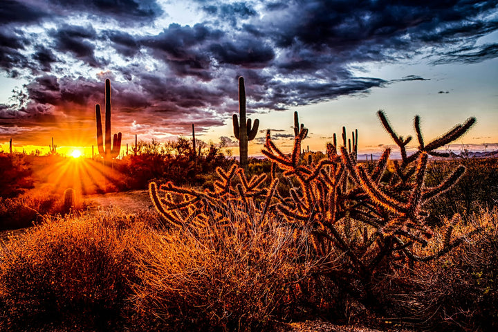 This is a photo of a sunset in Scottsdale AZ that inspired the corresponding earrings.   